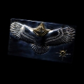 TADY&KING<br>[FIRST ITEM]<br> C[OK18C[OzobN